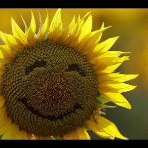 BUNDLE & SAVE 🌻BUY 2 SAME PRICE JEWELRY GE…